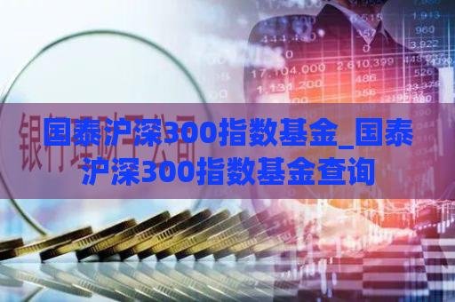 国泰沪深300指数基金_国泰沪深300指数基金查询  第1张