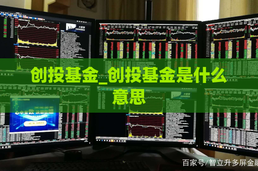 创投基金_创投基金是什么意思