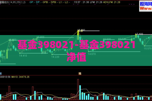 基金398021-基金398021净值