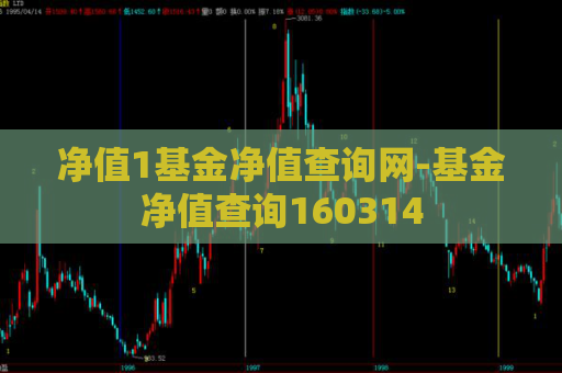 净值1基金净值查询网-基金净值查询160314  第1张