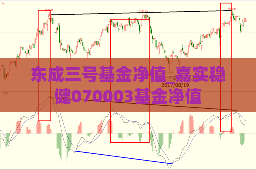 东成三号基金净值_嘉实稳健070003基金净值  第1张