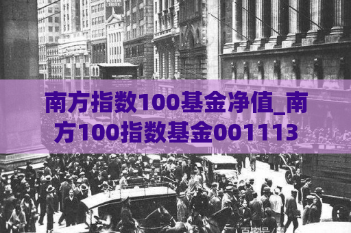 南方指数100基金净值_南方100指数基金001113  第1张