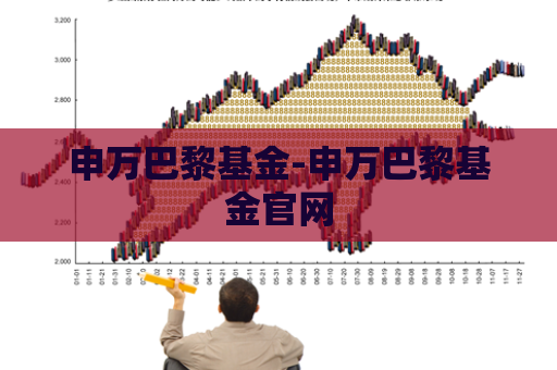 申万巴黎基金-申万巴黎基金官网