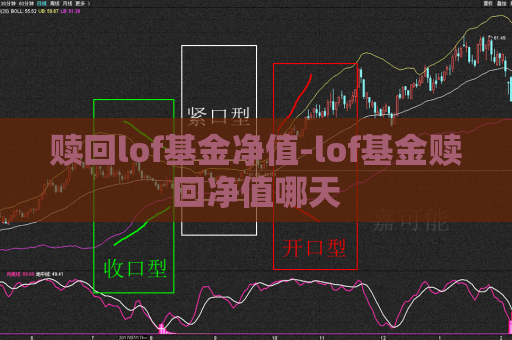 赎回lof基金净值-lof基金赎回净值哪天  第1张