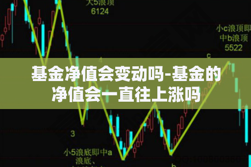 基金净值会变动吗-基金的净值会一直往上涨吗