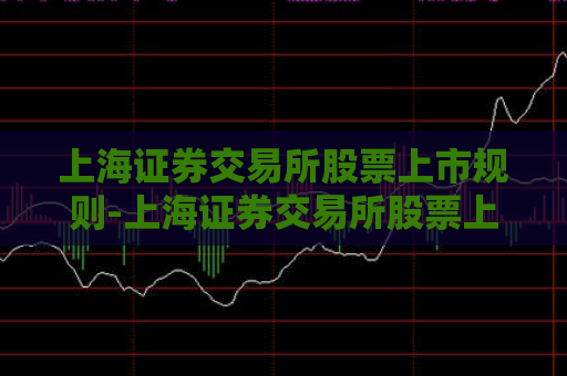 上海证券交易所股票上市规则-上海证券交易所股票上市规则981内容  第1张