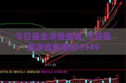 今日基金净值查询_今日基金净值查询001349  第1张