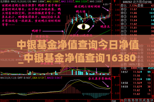 中银基金净值查询今日净值_中银基金净值查询163804  第1张