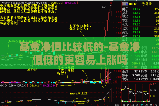 基金净值比较低的-基金净值低的更容易上涨吗  第1张