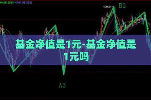 基金净值是1元-基金净值是1元吗