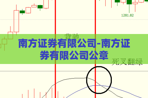 南方证券有限公司-南方证券有限公司公章  第1张