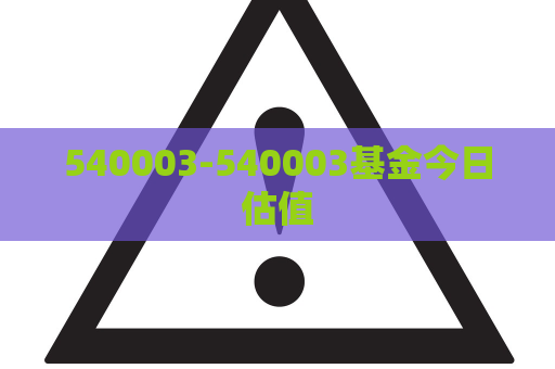 540003-540003基金今日估值  第1张