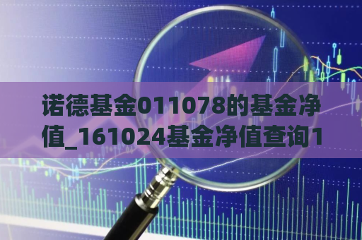 诺德基金011078的基金净值_161024基金净值查询161031