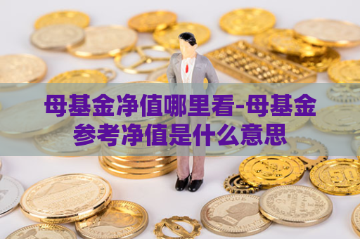 母基金净值哪里看-母基金参考净值是什么意思