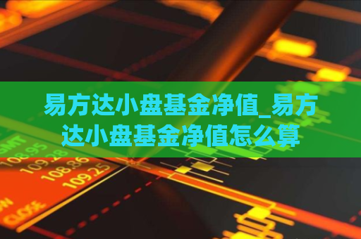 易方达小盘基金净值_易方达小盘基金净值怎么算  第1张