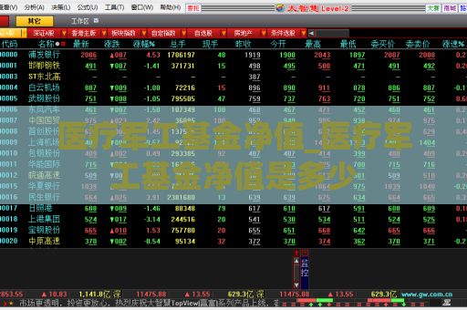 医疗军工基金净值_医疗军工基金净值是多少