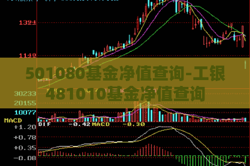 501080基金净值查询-工银481010基金净值查询