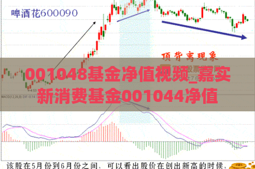 001048基金净值视频_嘉实新消费基金001044净值