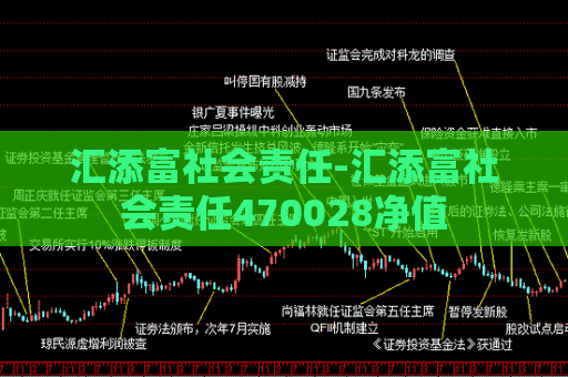 汇添富社会责任-汇添富社会责任470028净值