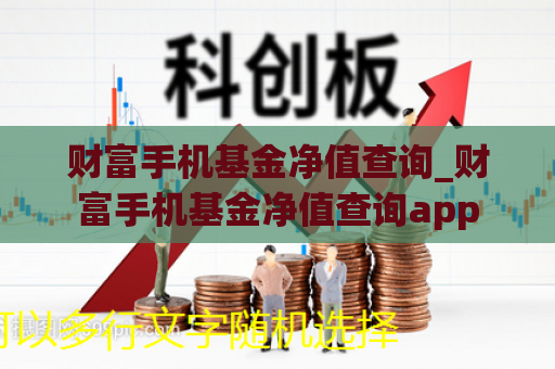 财富手机基金净值查询_财富手机基金净值查询app  第1张