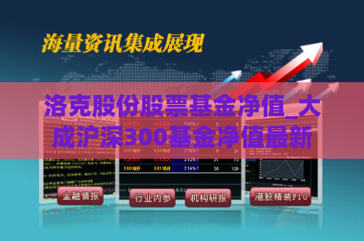 洛克股份股票基金净值_大成沪深300基金净值最新  第1张