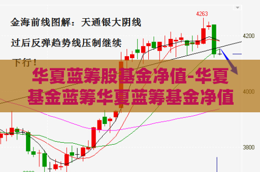 华夏蓝筹股基金净值-华夏基金蓝筹华夏蓝筹基金净值  第1张