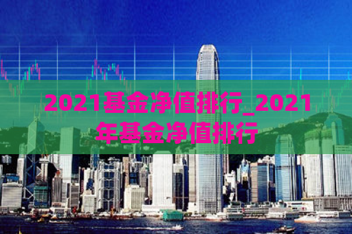 2021基金净值排行_2021年基金净值排行