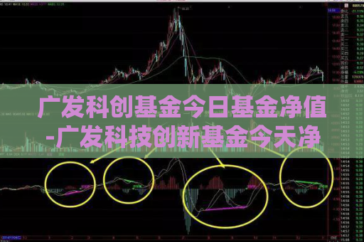 广发科创基金今日基金净值-广发科技创新基金今天净值查询