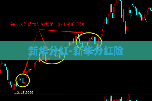 新华分红-新华分红险