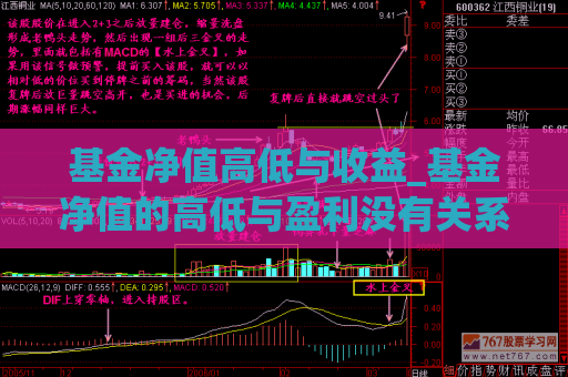 基金净值高低与收益_基金净值的高低与盈利没有关系