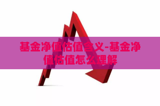 基金净值估值含义-基金净值估值怎么理解  第1张