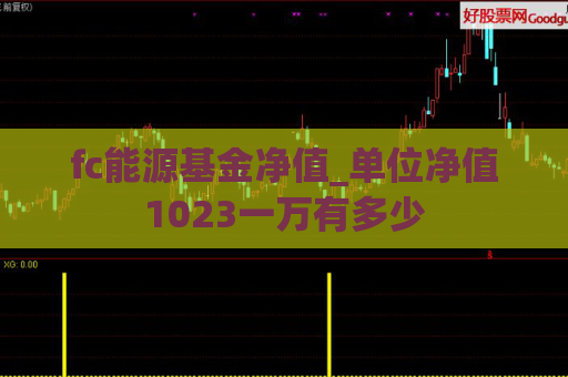 fc能源基金净值_单位净值1023一万有多少