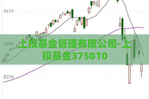 上投基金管理有限公司-上投基金375010  第1张