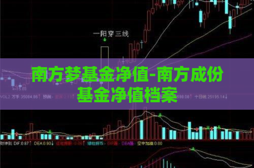 南方梦基金净值-南方成份基金净值档案