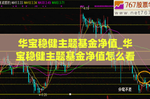 华宝稳健主题基金净值_华宝稳健主题基金净值怎么看  第1张