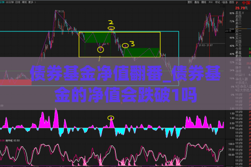 债券基金净值翻番_债券基金的净值会跌破1吗