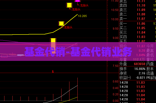 基金代销-基金代销业务