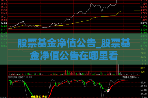 股票基金净值公告_股票基金净值公告在哪里看