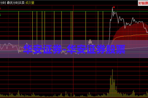 华安证券-华安证券股票  第1张