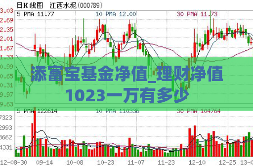 添富宝基金净值_理财净值1023一万有多少  第1张