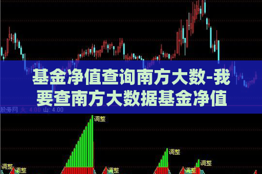 基金净值查询南方大数-我要查南方大数据基金净值