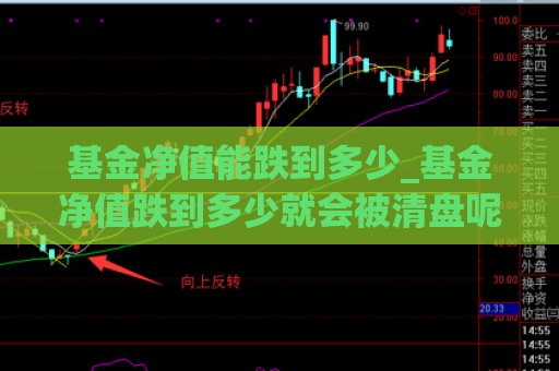 基金净值能跌到多少_基金净值跌到多少就会被清盘呢  第1张