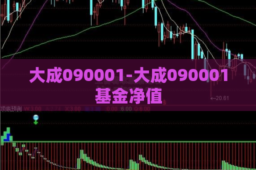 大成090001-大成090001基金净值  第1张