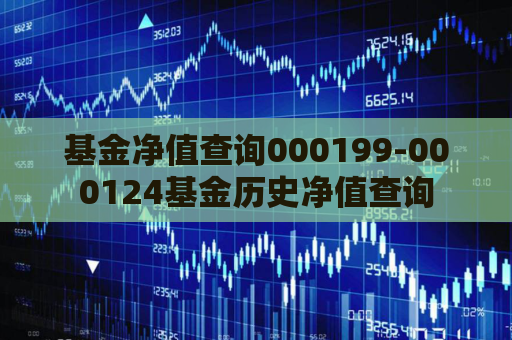 基金净值查询000199-000124基金历史净值查询  第1张