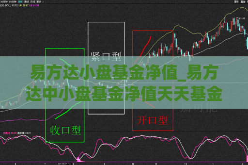 易方达小盘基金净值_易方达中小盘基金净值天天基金  第1张