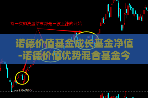 诺德价值基金成长基金净值-诺德价值优势混合基金今日行情  第1张