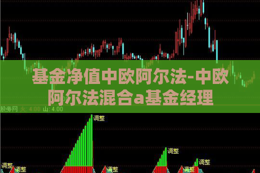 基金净值中欧阿尔法-中欧阿尔法混合a基金经理