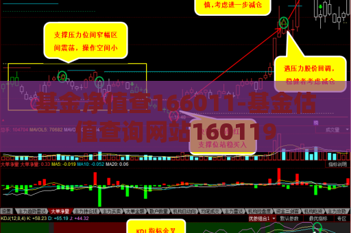 基金净值查166011-基金估值查询网站160119