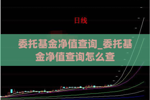 委托基金净值查询_委托基金净值查询怎么查  第1张