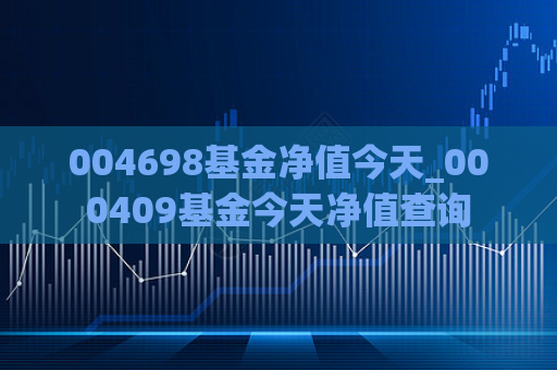 004698基金净值今天_000409基金今天净值查询